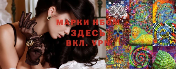 ПСИЛОЦИБИНОВЫЕ ГРИБЫ Алексеевка