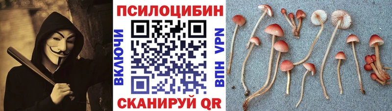 Галлюциногенные грибы MAGIC MUSHROOMS  omg вход  Мензелинск 